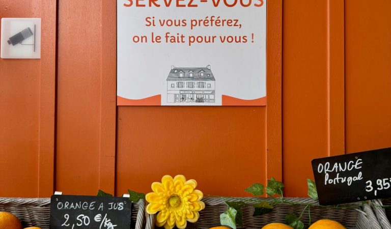 L’illustration sur-mesure : un outil puissant pour les entreprises